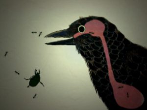 karasu